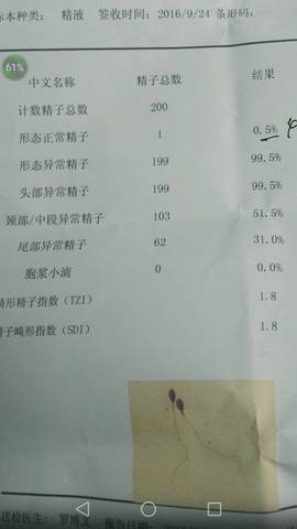 journal_insert_pic_578618574