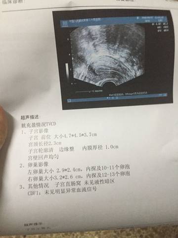 journal_insert_pic_578934339