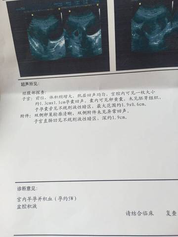 journal_insert_pic_580090694