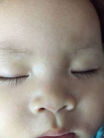 journal_insert_pic_580624845