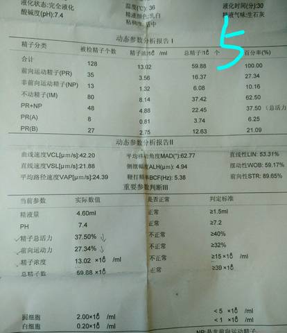 journal_insert_pic_580609964