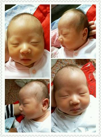 journal_insert_pic_580509131