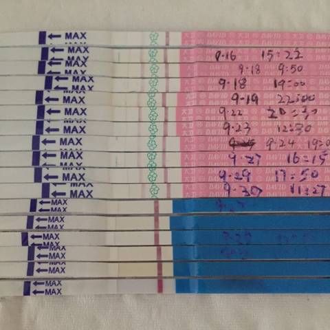 journal_insert_pic_581106527