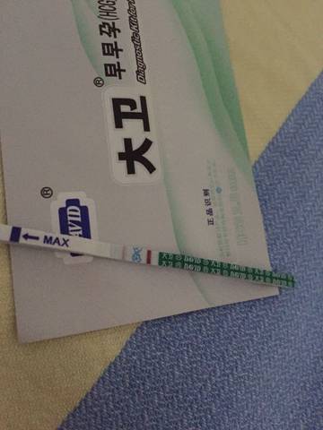 journal_insert_pic_580974701