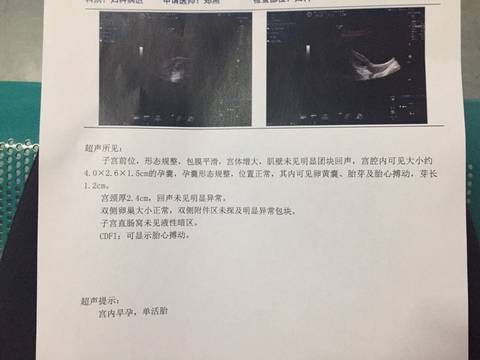 journal_insert_pic_581039630
