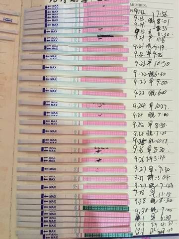 journal_insert_pic_583230182