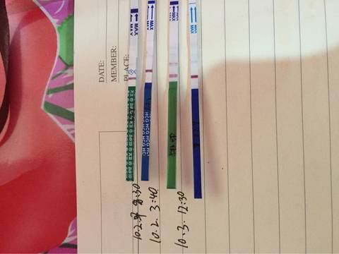 journal_insert_pic_583230190