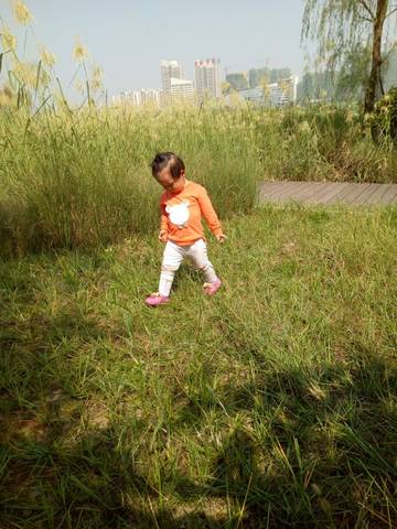 journal_insert_pic_583204271