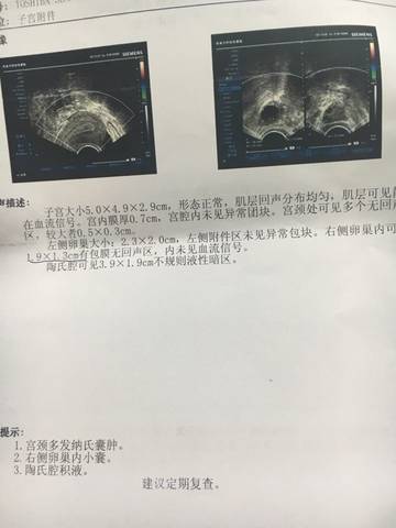 journal_insert_pic_583920545