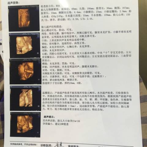 journal_insert_pic_583782405