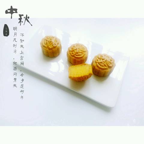 journal_insert_pic_584750623