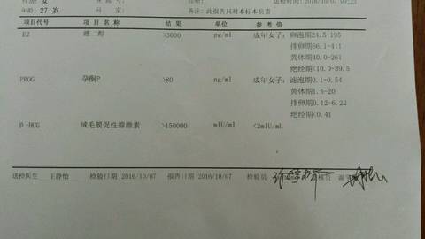 journal_insert_pic_585114870