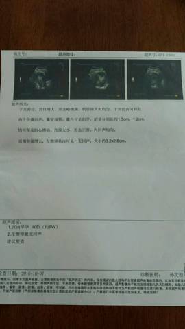 journal_insert_pic_585114854