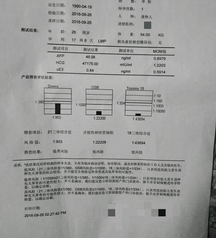 journal_insert_pic_584899725
