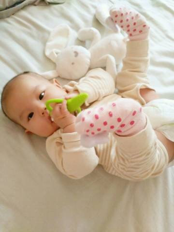 journal_insert_pic_585849242