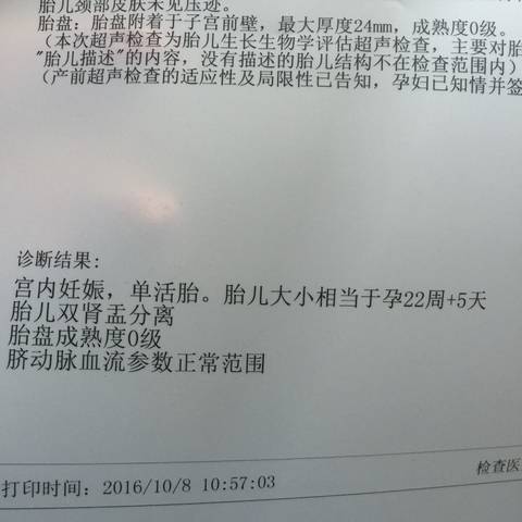journal_insert_pic_585943469