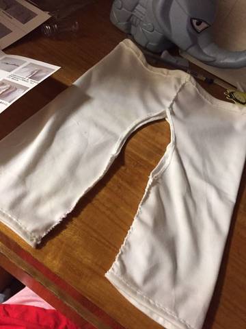 journal_insert_pic_586733500