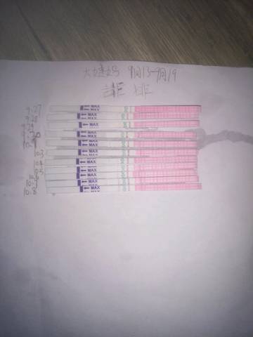 journal_insert_pic_586277233