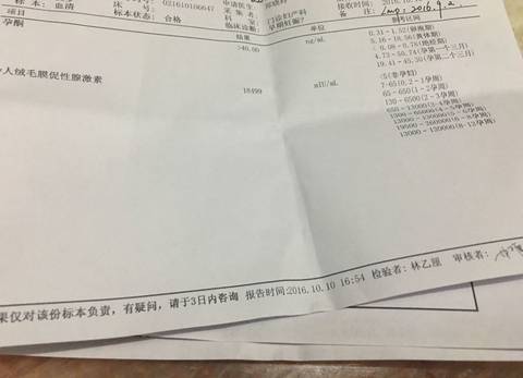 journal_insert_pic_587334637