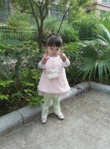 journal_insert_pic_588121198