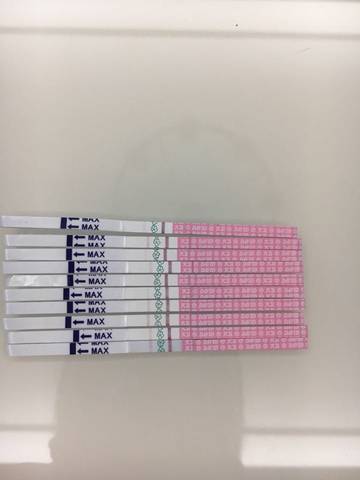 journal_insert_pic_587990220