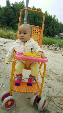 journal_insert_pic_588634869