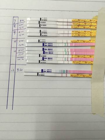 journal_insert_pic_588267855
