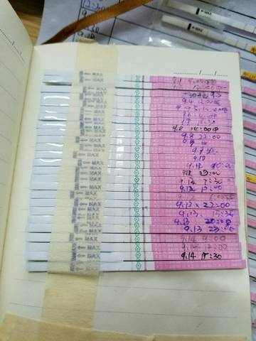 journal_insert_pic_589010325