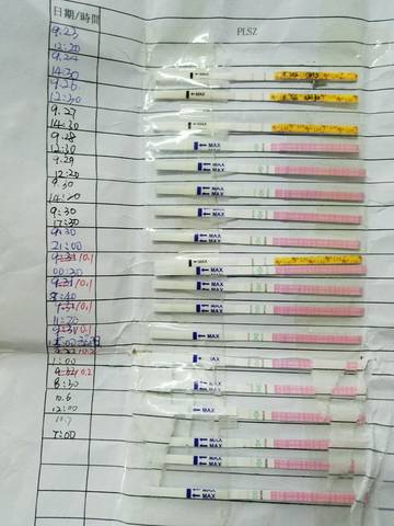 journal_insert_pic_589010346