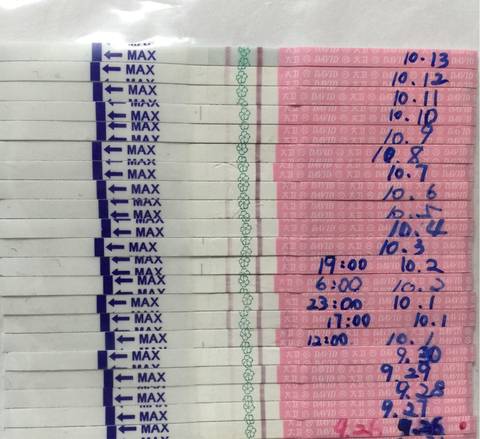 journal_insert_pic_589016410