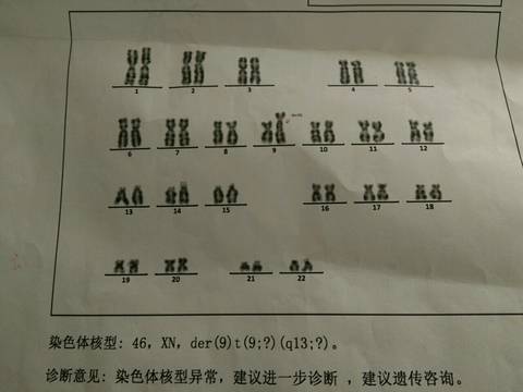 journal_insert_pic_589358017