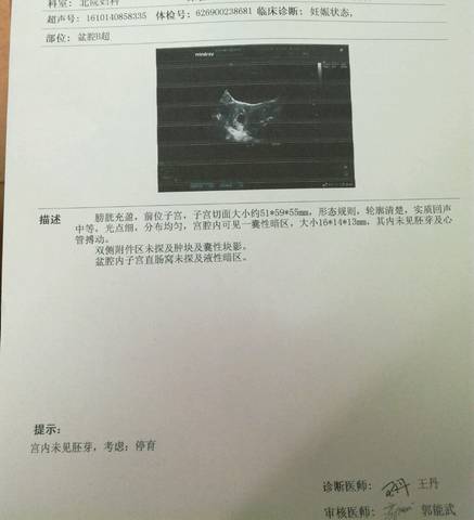 journal_insert_pic_589702950