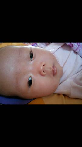 journal_insert_pic_589965253