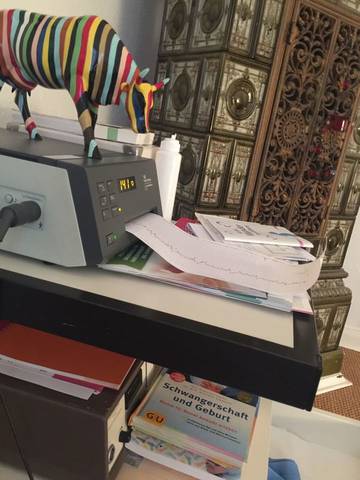 journal_insert_pic_590105522