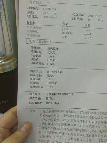 journal_insert_pic_590748166
