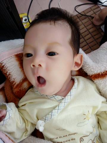 journal_insert_pic_591004842