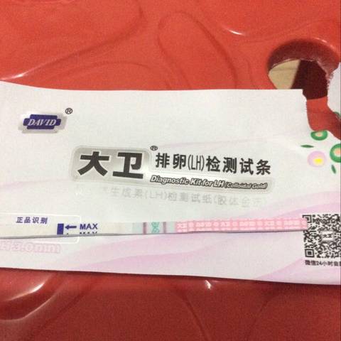 journal_insert_pic_591753826