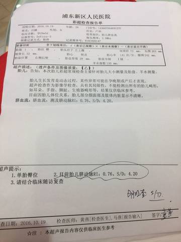 journal_insert_pic_593152377