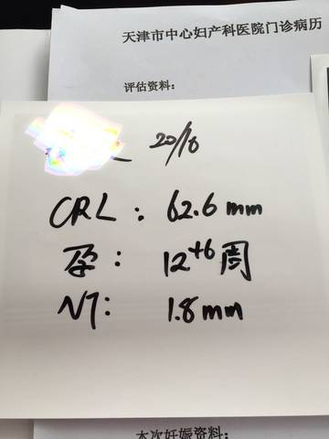 journal_insert_pic_593507747