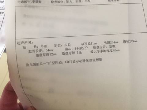 journal_insert_pic_594170037