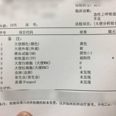 journal_insert_pic_594636327