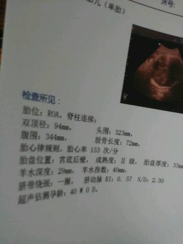 journal_insert_pic_594240083