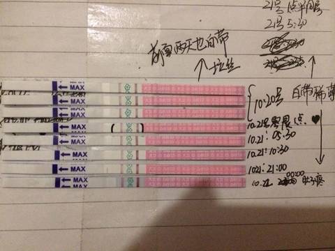 journal_insert_pic_594711847