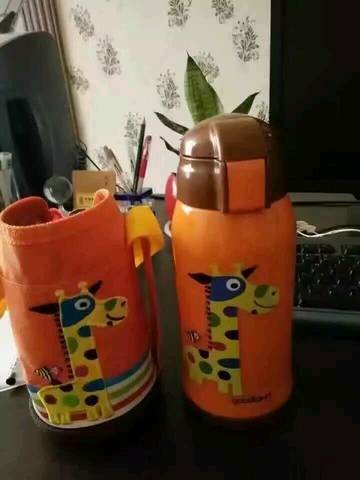 journal_insert_pic_595714948