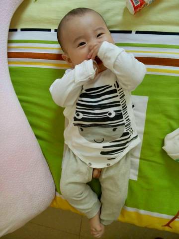 journal_insert_pic_596100310
