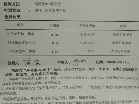 journal_insert_pic_596962063
