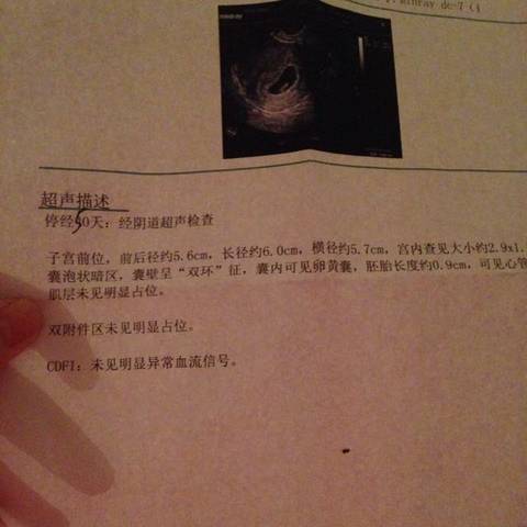 journal_insert_pic_597112357