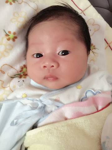 journal_insert_pic_596721622