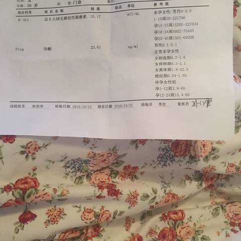 journal_insert_pic_597345133