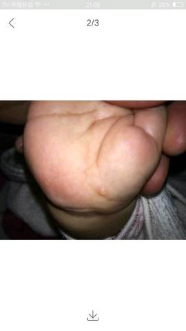 journal_insert_pic_598460709